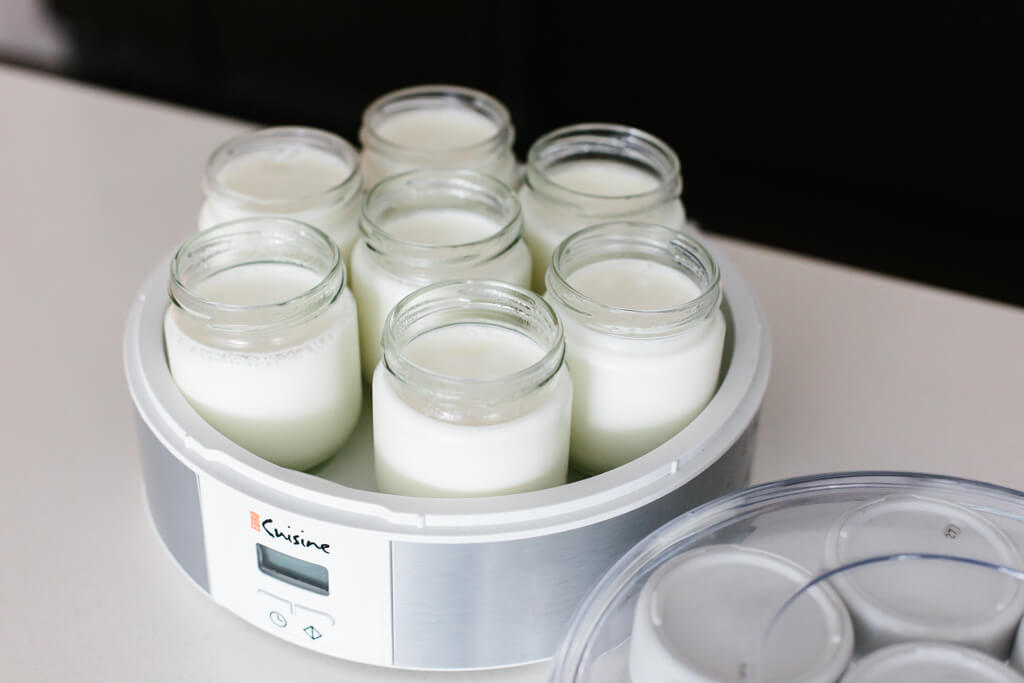 Sehat dan Hemat, Inilah Cara Membuat Yoghurt di Rumah yang Bisa Dipraktikkan